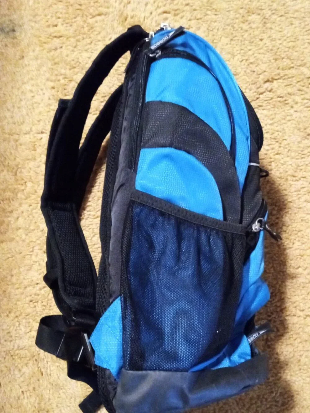 Speedo Teamster Large Swim Backpack with Dirt Wet Compartment - Blue
